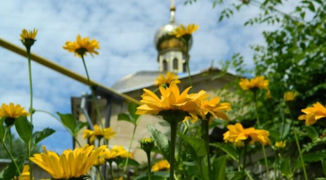 09.06.2019 г., Неделя 7-я по Пасхе